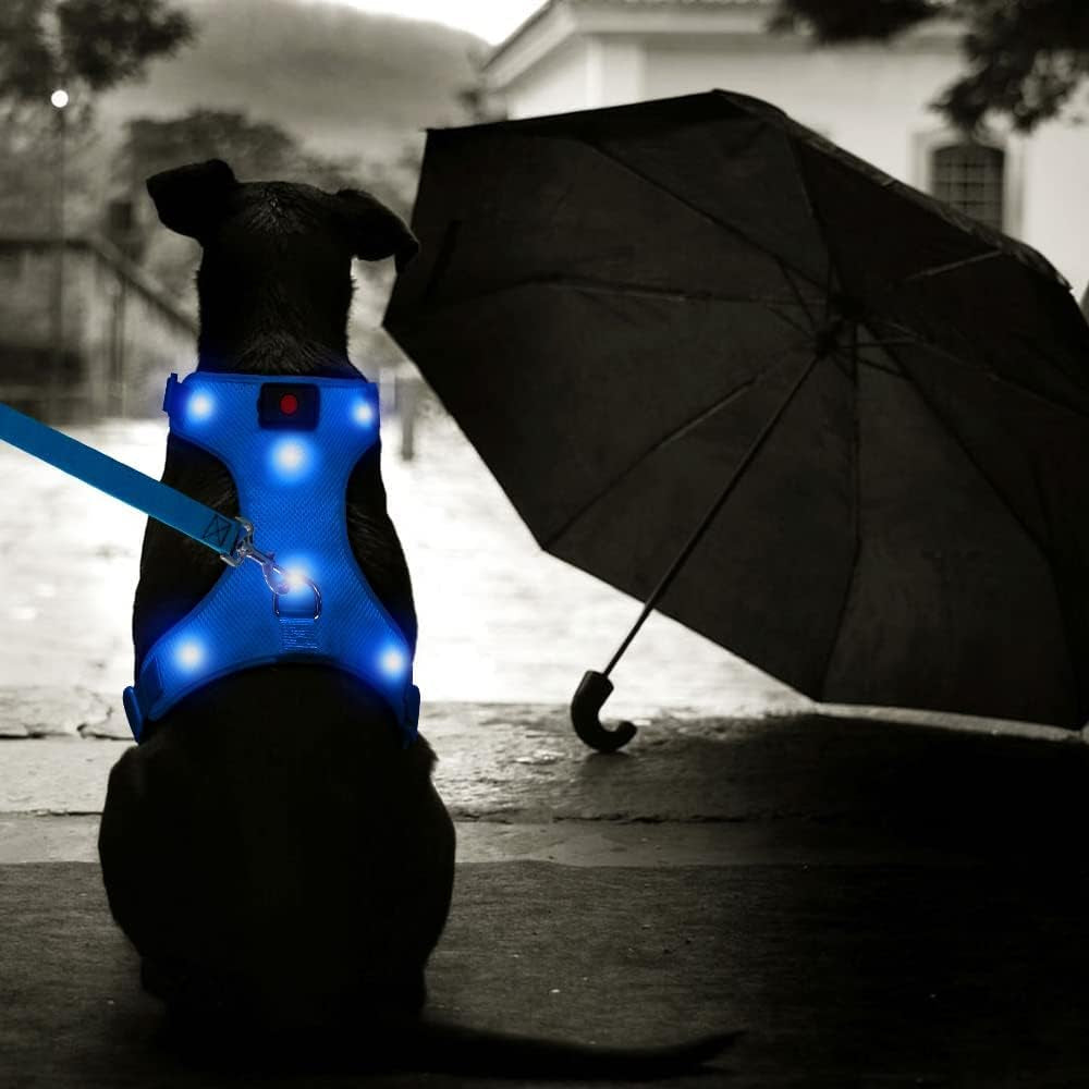 LED Dog Harness - USB Rechargeable Lighted Pet Vest with Reflective Glow, Adjustable Soft Padded No-Pull Design for Small, Medium & Large Dogs (Blue, Size S)