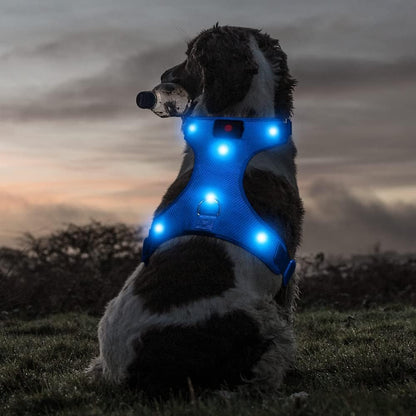 LED Dog Harness - USB Rechargeable Lighted Pet Vest with Reflective Glow, Adjustable Soft Padded No-Pull Design for Small, Medium & Large Dogs (Blue, Size S)