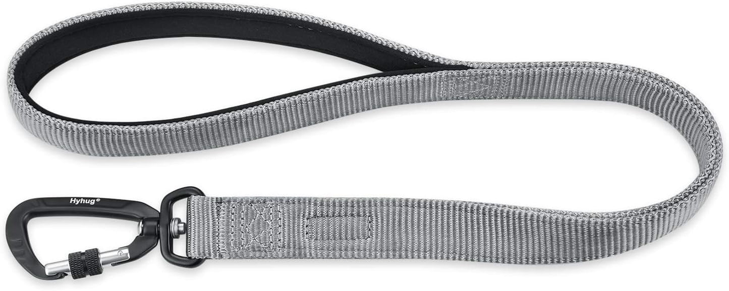Heavy Duty 24-Inch Dog Leash with Comfort Handle & Lightweight Aluminium Clip - Ideal for Large & Medium Dogs - Sleek Gray Design