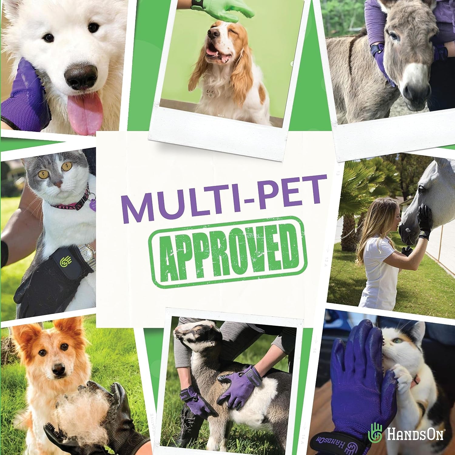 Handson Pet Grooming Gloves - #1 Ranked, Award-Winning Cat, Dog & Horse Hair Remover Gloves - Bathing, Shedding & Massaging Tool - Gentle Brush for Long & Short Fur (2 Pairs, Green, M & L)