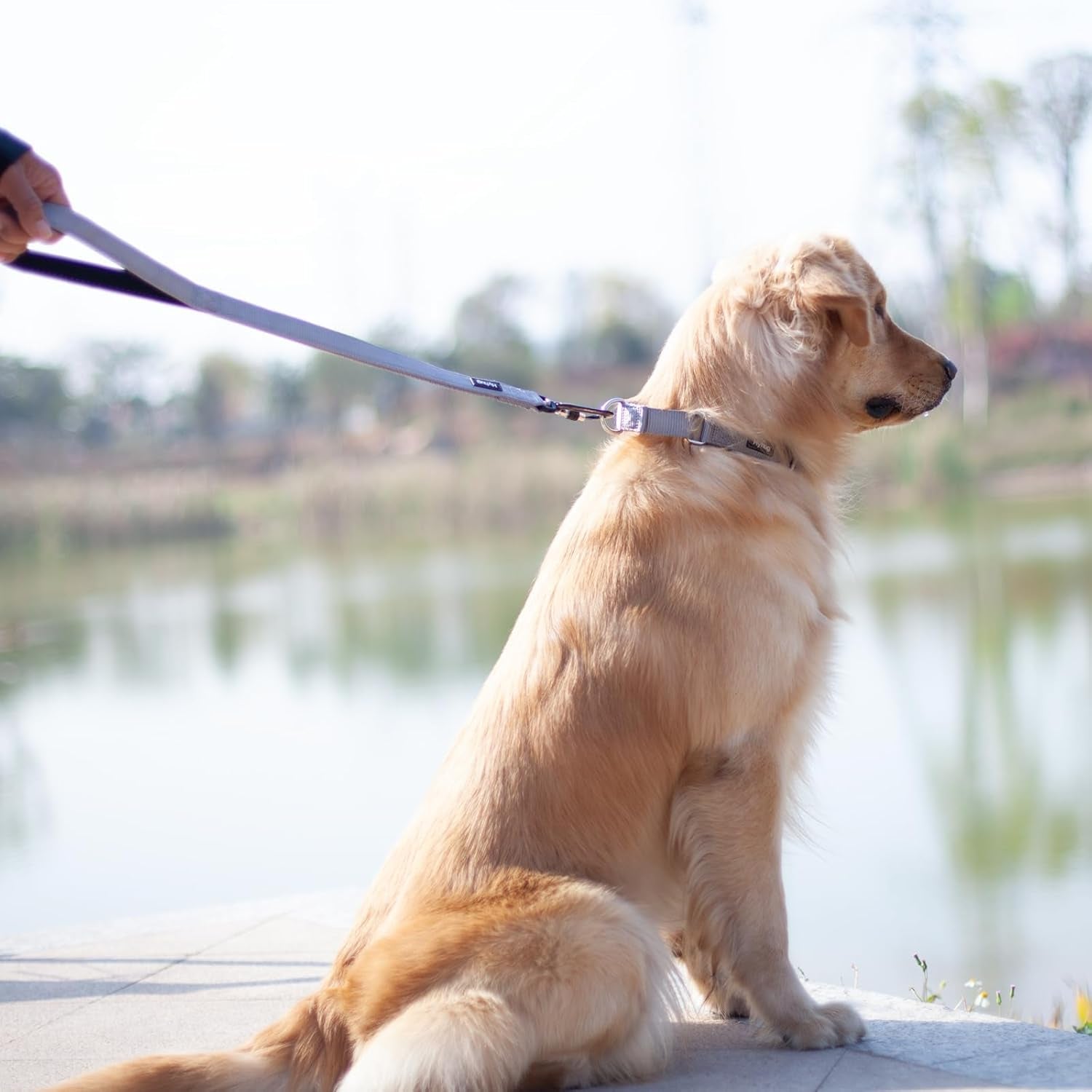 Heavy Duty 24-Inch Dog Leash with Comfort Handle & Lightweight Aluminium Clip - Ideal for Large & Medium Dogs - Sleek Gray Design