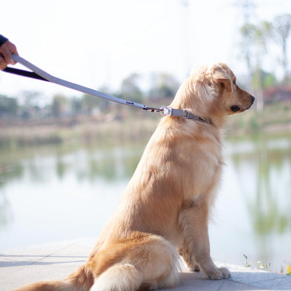 Heavy Duty 24-Inch Dog Leash with Comfort Handle & Lightweight Aluminium Clip - Ideal for Large & Medium Dogs - Sleek Gray Design