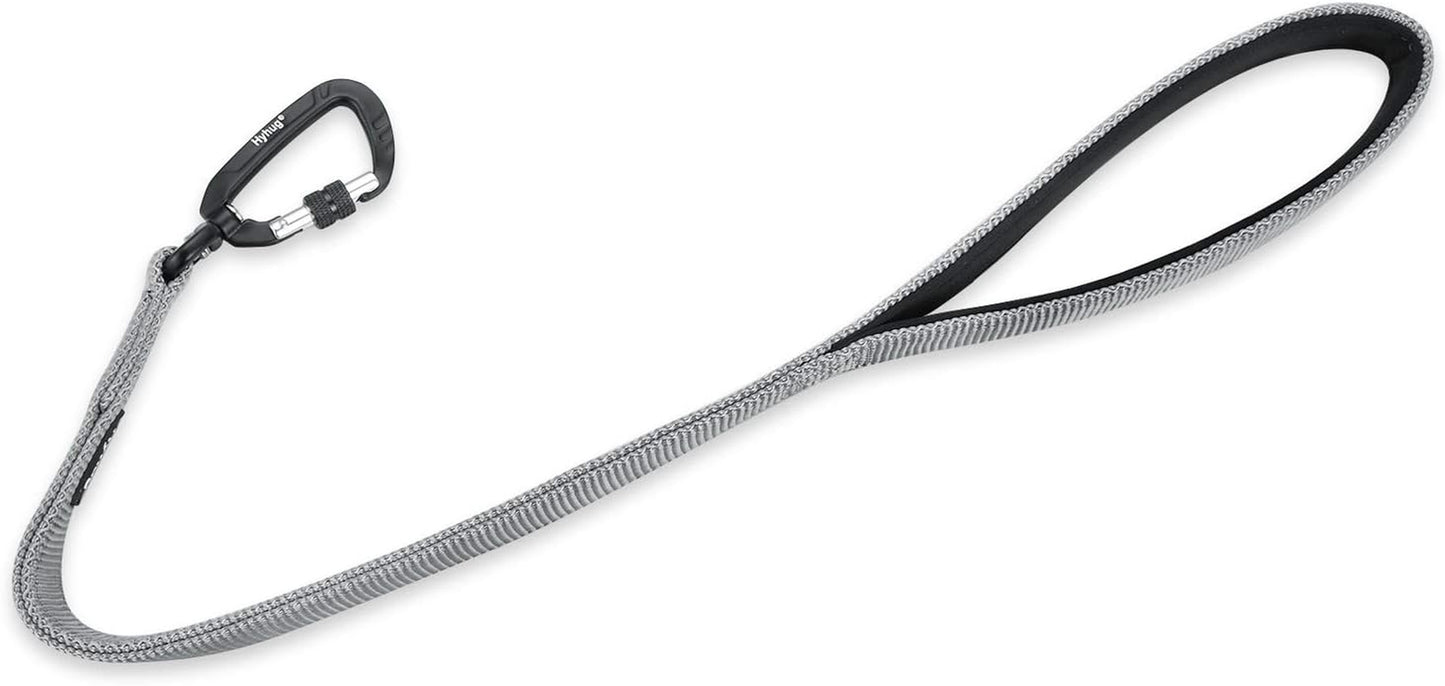 Heavy Duty 24-Inch Dog Leash with Comfort Handle & Lightweight Aluminium Clip - Ideal for Large & Medium Dogs - Sleek Gray Design