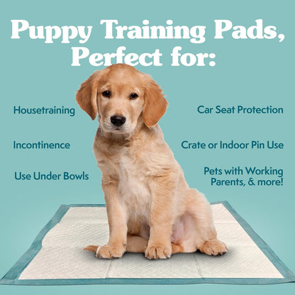 Extra Large Leak Proof Dog Pee Pads - Perfect for Puppy Potty Training - Disposable 28"X30" Size