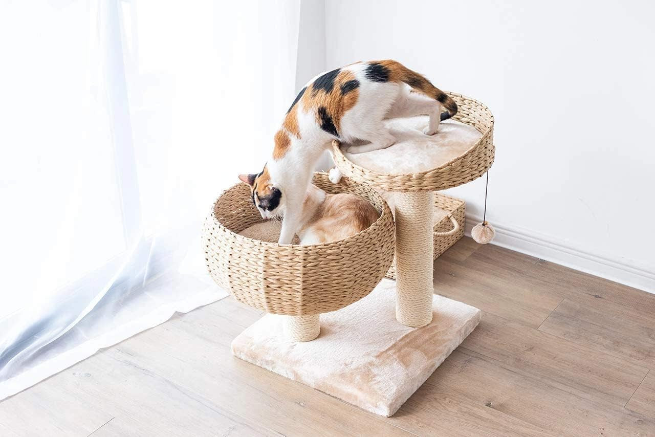 Natural Paper Rope Cat Tree with Perch - Stylish Bowl Shaped Design