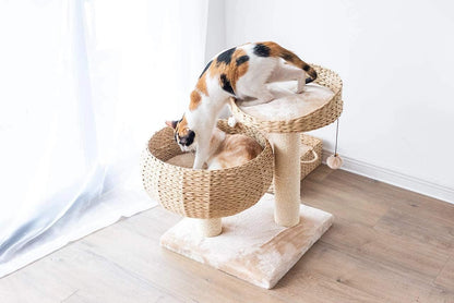 Natural Paper Rope Cat Tree with Perch - Stylish Bowl Shaped Design