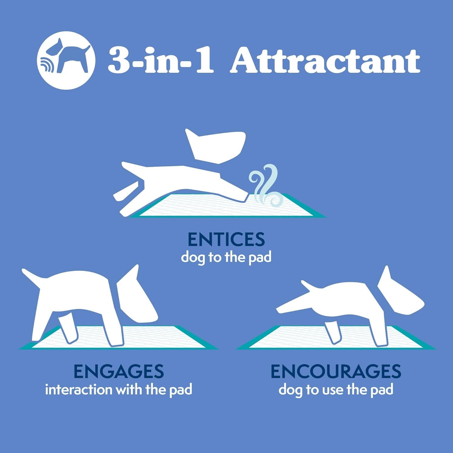 Extra Large Leak Proof Dog Pee Pads - Perfect for Puppy Potty Training - Disposable 28"X30" Size