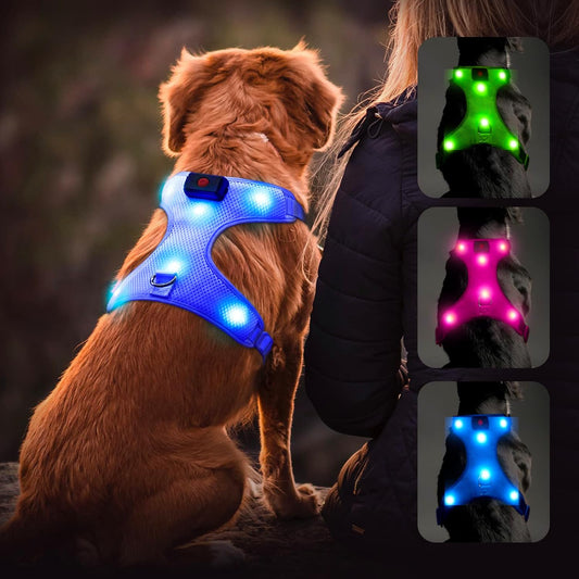LED Dog Harness - USB Rechargeable Lighted Pet Vest with Reflective Glow, Adjustable Soft Padded No-Pull Design for Small, Medium & Large Dogs (Blue, Size S)