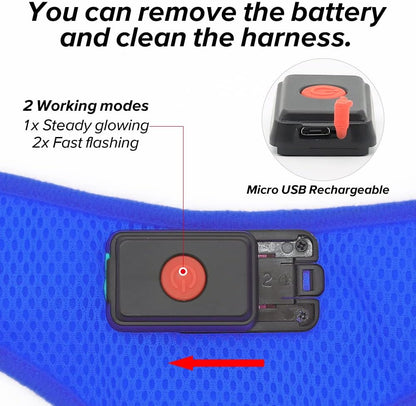 LED Dog Harness - USB Rechargeable Lighted Pet Vest with Reflective Glow, Adjustable Soft Padded No-Pull Design for Small, Medium & Large Dogs (Blue, Size S)