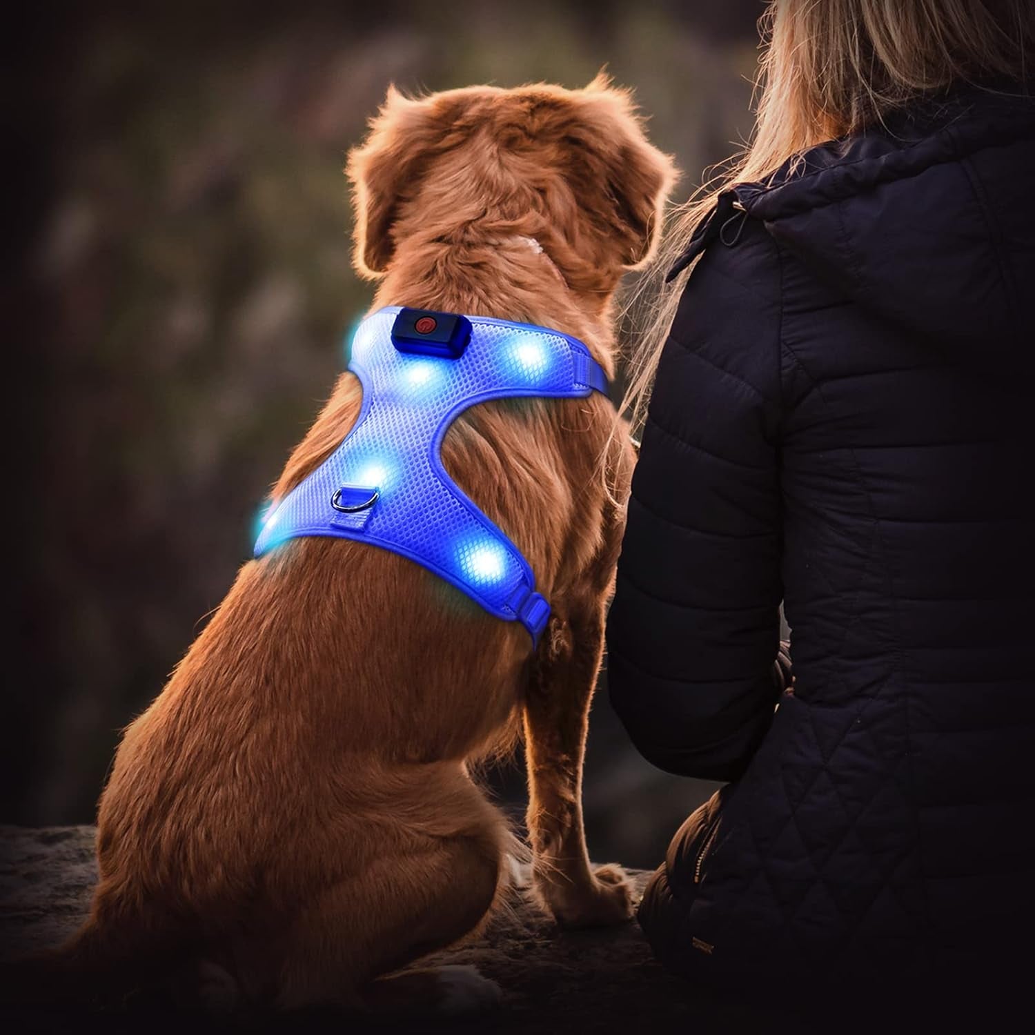 LED Dog Harness - USB Rechargeable Lighted Pet Vest with Reflective Glow, Adjustable Soft Padded No-Pull Design for Small, Medium & Large Dogs (Blue, Size S)